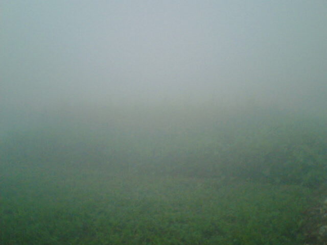 ملف:Fog Punjab.jpg