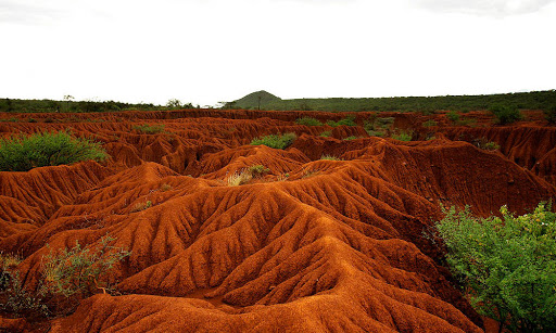 ملف:Soil-erosion.jpg