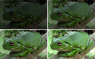 IndexedColorSample InterleavedDownload (Caerulea3 crop).png