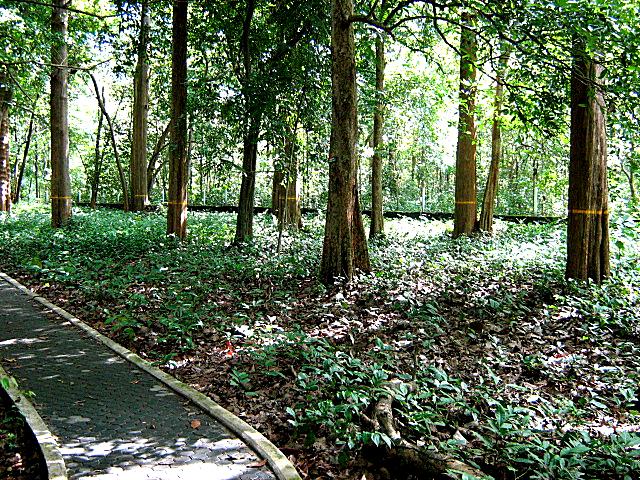 ملف:Conolly Plot 1.jpg