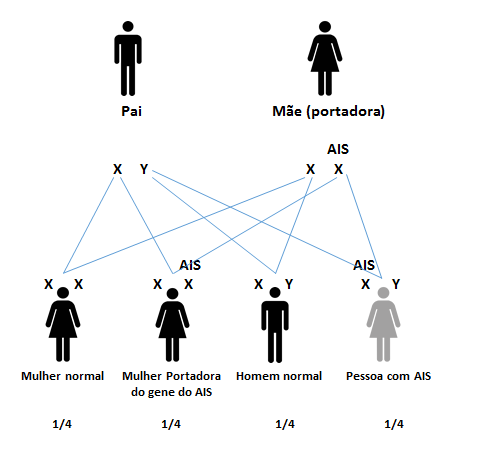 ملف:Síndrome de Insensibilidade Androgênica.png