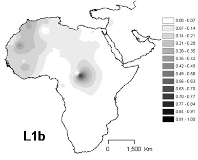 ملف:Interpolation maps for L1b haplogroup.png