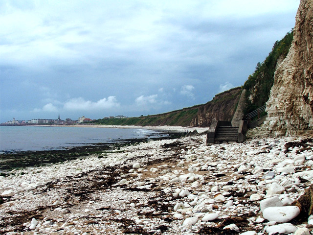 ملف:Steps onto Sewerby Rocks - geograph.org.uk - 506282.jpg