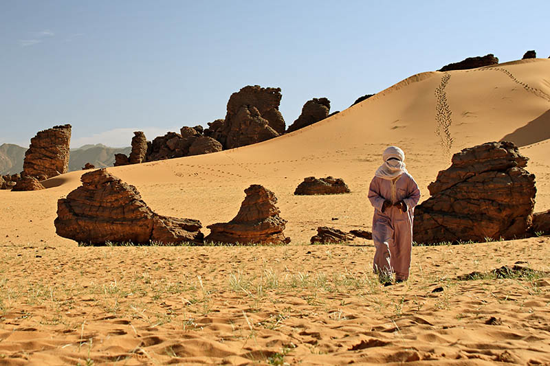 ملف:Tassili.jpg