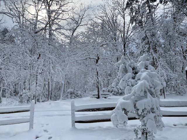 ملف:Heavy Snow in the Greenbelt MD campground (934302ad-305a-41f1-aea6-a5d2b2b44224).jpg