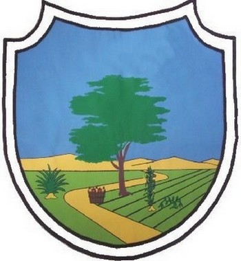ملف:Brasao barauna.jpg