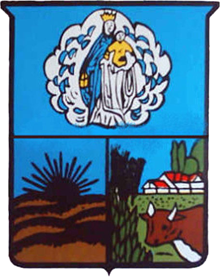 ملف:Escudo de Pellegrini.png