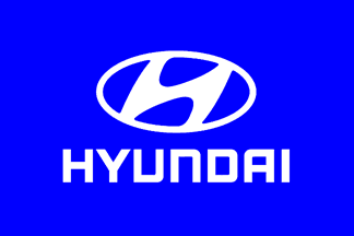 ملف:Flag of Hyundai.gif