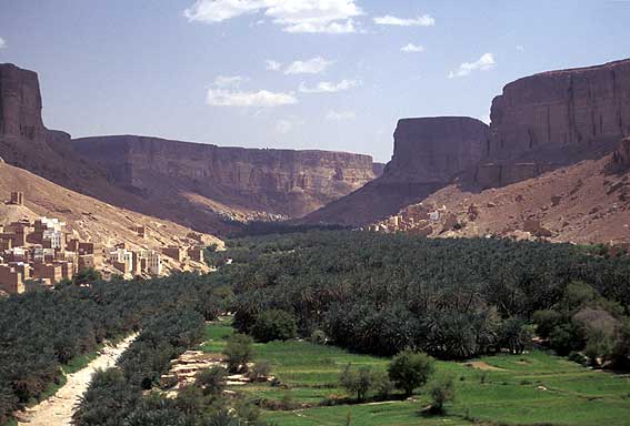 ملف:Hadramoutwadi.jpg