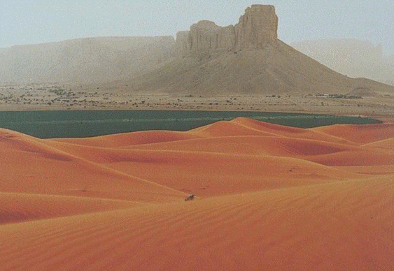 ملف:Saudi-desert.gif