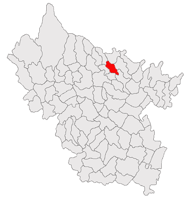 ملف:Pardosi jud Buzau.png