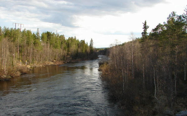 ملف:Река Куреньга.jpg