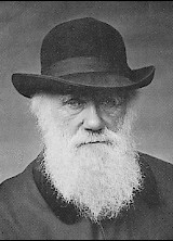 ملف:Charles Darwin 1880.jpg