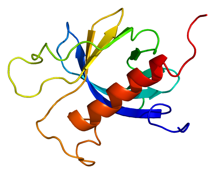ملف:Protein PRKD3 PDB 2d9z.png