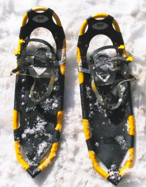 ملف:Atlas snowshoes.jpg