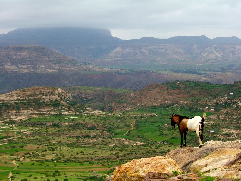 ملف:Ethiopian highlands 01 mod.jpg