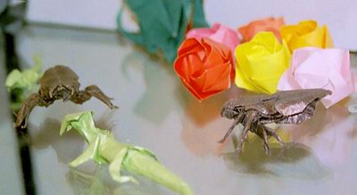 ملف:Origami-insectes-fleurs.jpg