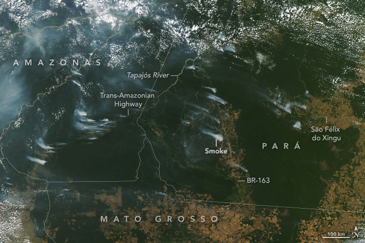ملف:MODIS (2020-08-01).jpg