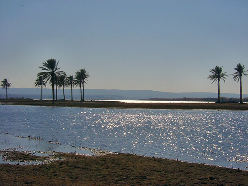 ملف:The Euphrates River-Iraq.jpg