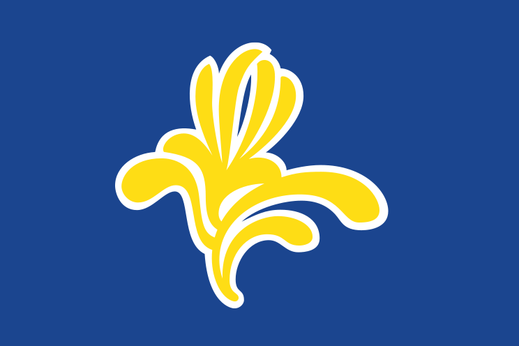 ملف:Flag Belgium brussels.png