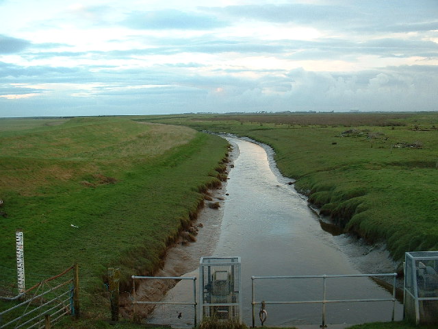 ملف:River Cocker - geograph.org.uk - 87282.jpg