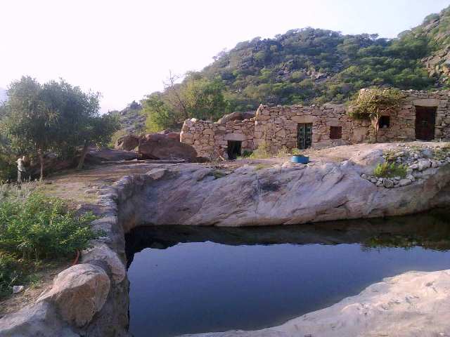 ملف:Albarq3.jpg