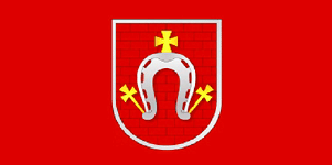 ملف:Flag of Drybin.png