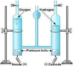 ملف:Hoffman voltameter.jpg
