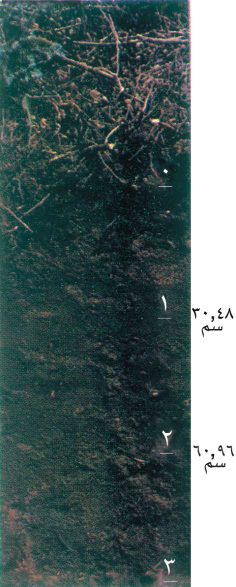 خث - المعرفة