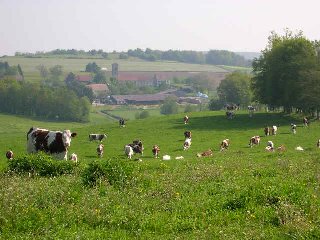 ملف:Villars-le-Sec-90-village.jpg