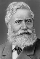 ملف:Max von Pettenkofer bse.jpg