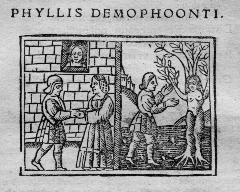 ملف:Phyllis Demophoonti.jpg