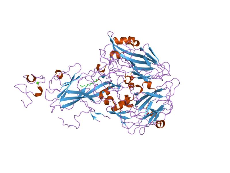 ملف:PDB 1v9u EBI.jpg