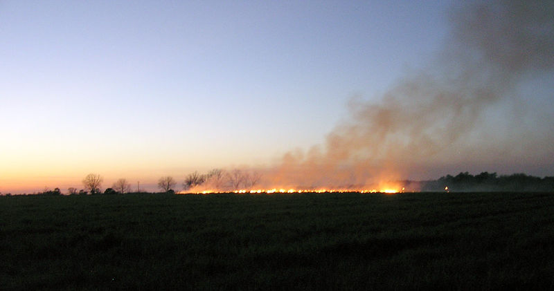 ملف:BurningOffFieldsInTheEveningInSouthGeorgia.jpg