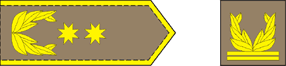 ملف:General major-arm.png