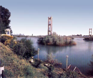 ملف:Image5.jpg