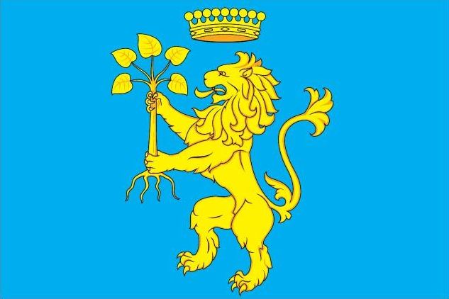 ملف:Флаг Липицкого поселения Серпуховского района.jpg