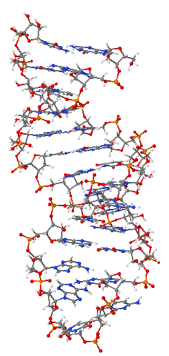 ملف:Pre-mRNA-1ysv.png