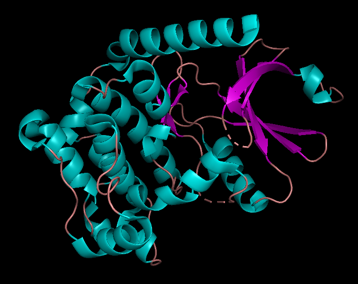 ملف:Structure of the human STK3 kinase domain.png