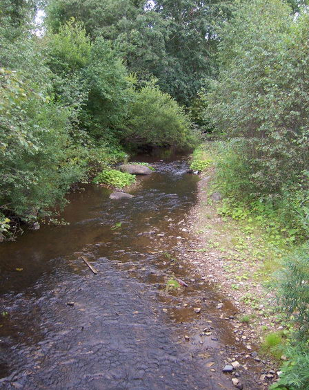 ملف:Река Нюксенка.png