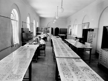 ملف:Dead Sea Scroll Scholar Examination.jpg
