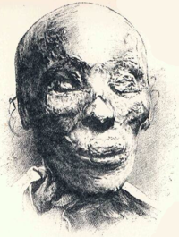 ملف:ThutmoseII-mummy-head-drawing.png