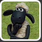 شون (shaun)