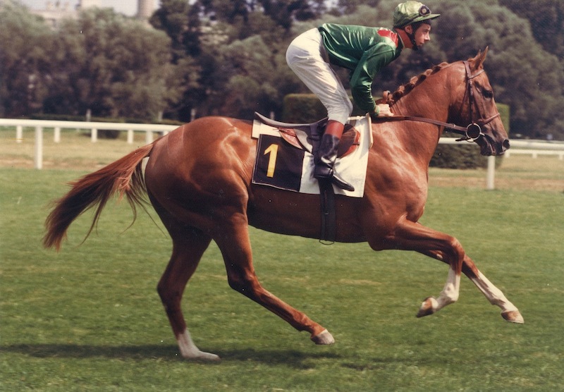 ملف:Blushing groom & Henri SAMANI 1976.jpg