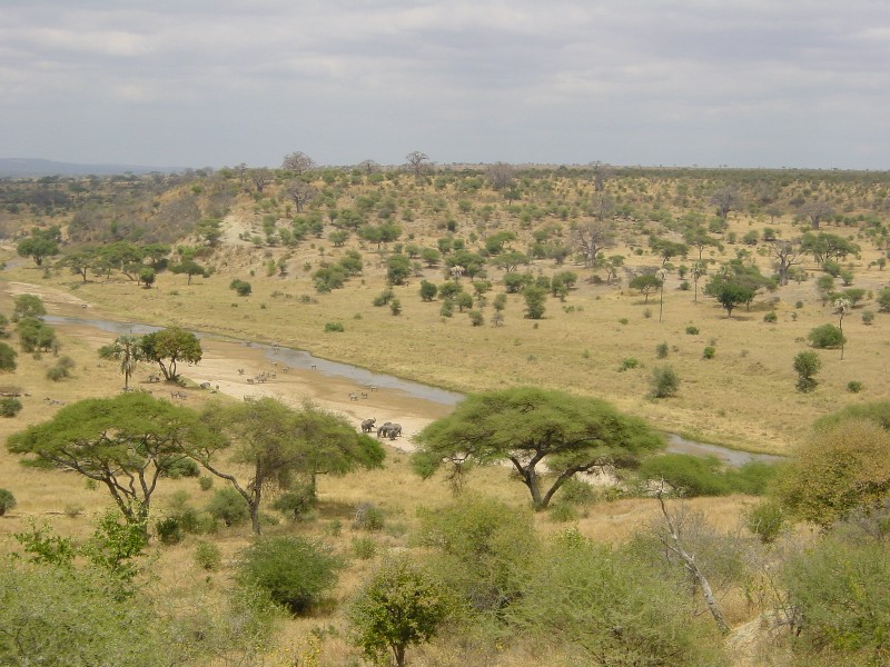 ملف:Tarangire-Natpark800600.jpg