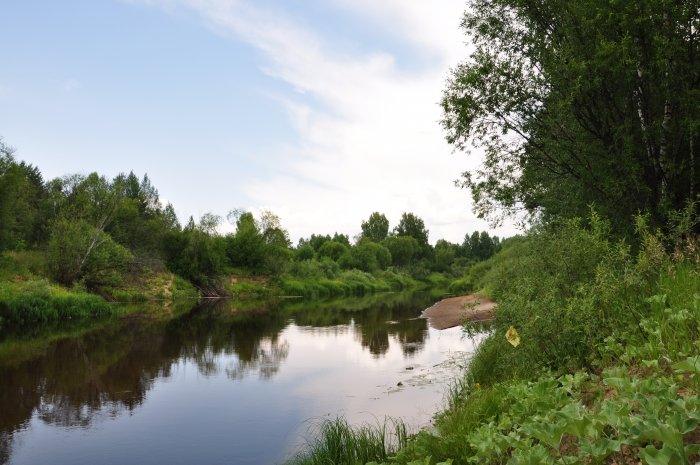 ملف:Река Большая Какша (около Ченебечихи).jpg