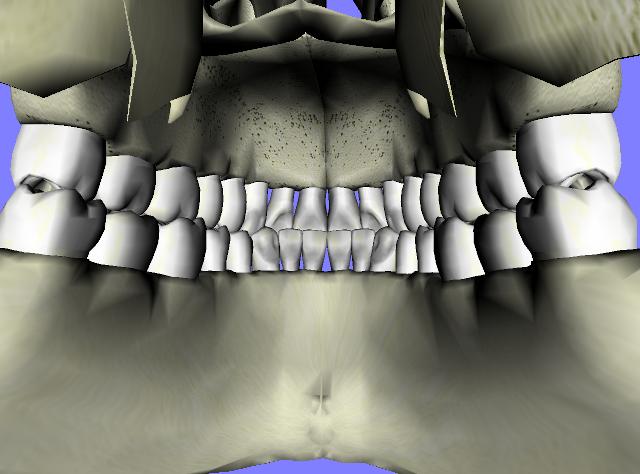 ملف:Denticao.jpg