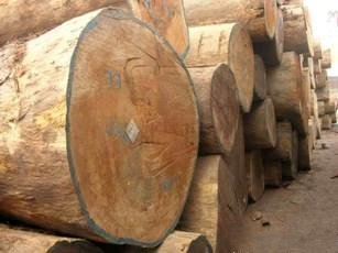 ملف:Loka west teak.jpg