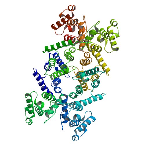 ملف:PBB Protein DMD image.jpg