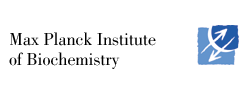 MPIBioChem Logo.png